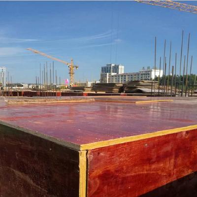 廣西建筑小紅板工廠 綠色創(chuàng)新引領(lǐng)建筑模板新潮流