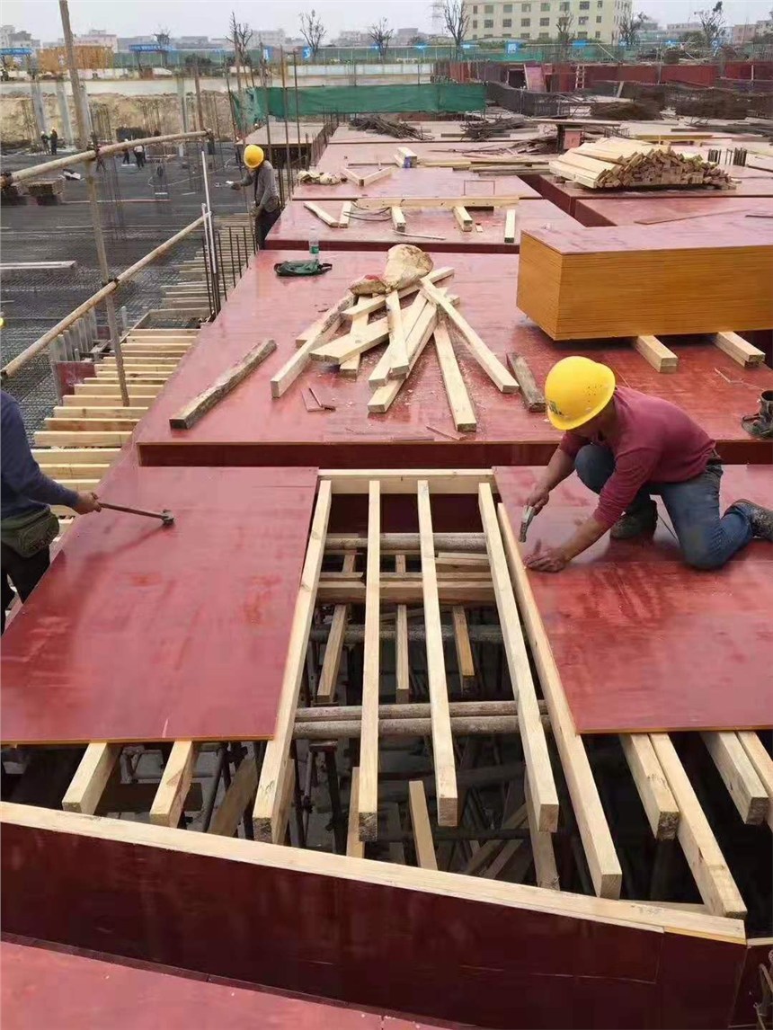 韶關(guān)建筑木方與建筑模板 構(gòu)筑現(xiàn)代工程的基礎(chǔ)材料